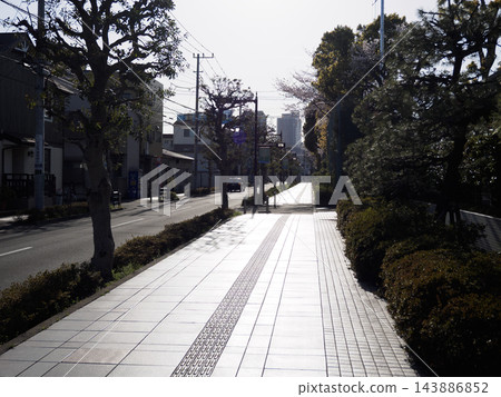 東京一條筆直的城市街道,兩旁綠樹成蔭。 東京一條筆直的城市街道,兩旁綠樹成蔭。 143886852