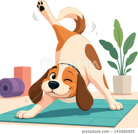 Dog doing yoga stretching on mat in studio 143886985