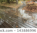 Autumn leaves and the wooden deck Autumn leaves and the wooden deck 143886996