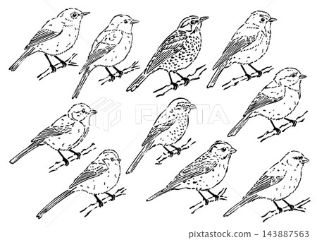 A set of 10 Japanese winter birds drawn with ink brush lines. A set of 10 Japanese winter birds drawn with ink brush lines. 143887563