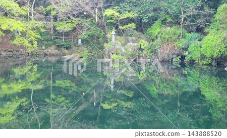 沉默 沉默 143888520