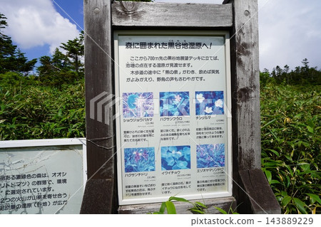 八月初的黑地濕地(岩手縣八幡平市) 八月初的黑地濕地(岩手縣八幡平市) 143889229