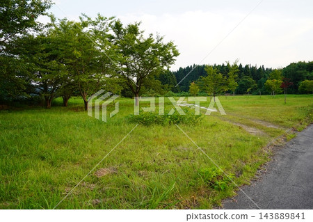 7月下旬的角沼濕地(秋田縣由利本莊市) 7月下旬的角沼濕地(秋田縣由利本莊市) 143889841