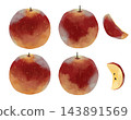 An illustration of an apple drawn in a watercolor style. 143891569