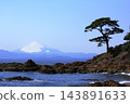 從這裡可以眺望立石海岸，富士山和松樹盡收眼底。 143891633