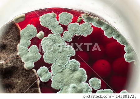 Mold growth on beverage surface. Highlights expired product risks. Danger of ignoring expiration dates, improper storage, and unsafe consumption 143891725