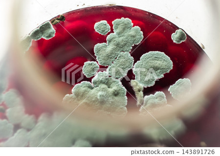 Mold growth on beverage surface. Highlights expired product risks. Danger of ignoring expiration dates, improper storage, and unsafe consumption Mold growth on beverage surface. Highlights expired product risks. Danger of ignoring expiration dates, improper storage, and unsafe consumption 143891726