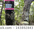 三重縣與滋賀縣交界處 / 冰川岳 / 又稱“新岳”，位於鈴鹿山脈北部 143892843