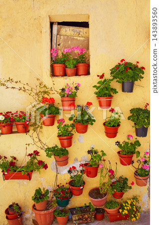 Burgos colorful facade with flower plants pots 143893560