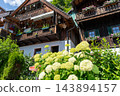 Hallstatt, Austria Wooden Alpine Houses with Flower Balconies and White Hydrangeas in Sunny Village 143894157