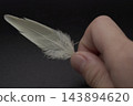 白色的羽毛 143894620