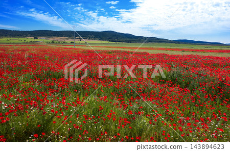 Spring meadow Camino Santiago Levante Spring meadow Camino Santiago Levante 143894623