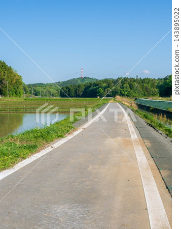與稻田的風景 143895022