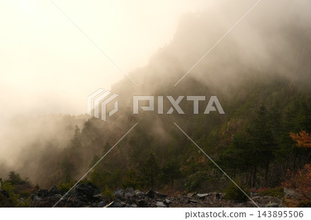 晨光和濃霧籠罩著山坡和針葉林,構成了一個夢幻般的景象。 晨光和濃霧籠罩著山坡和針葉林,構成了一個夢幻般的景象。 143895506