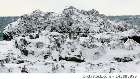 岩石海岸覆蓋著積雪 143895959