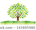 A simple watercolor illustration of a single tree with lush green leaves. 143895980