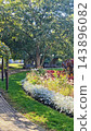 Lush landscaped garden with mature leafy tree, colorful flower bed, manicured lawn, paved walkway, outdoor seating, layered foliage, and sunlit residential setting 143896082