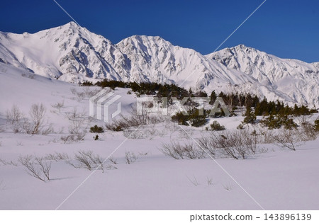 從八方根看到的白馬山峰 143896139