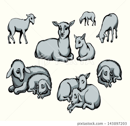 Vector drawing. Small sheeps lay at the field Vector drawing. Small sheeps lay at the field 143897203