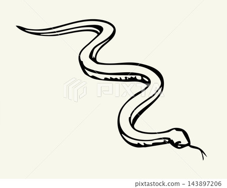 Vector drawing. Serpent on the ground Vector drawing. Serpent on the ground 143897206