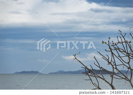 Scenic view of Quy Nhon sea with distant islands framed by tree branches decorated with light bulbs. Scenic view of Quy Nhon sea with distant islands framed by tree branches decorated with light bulbs. 143897321
