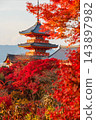 Vertical view of Kiyomizu-dera pagoda with red maple leaf in fall, Kyoto 143897982