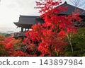 tourists at Iconic Kiyomizu-dera temple hall in autumn garden, Kyoto 143897984