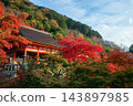 Kiyomizu-dera temple by hill with colorful maple leaves in autumn , Kyoto 143897985