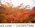 Colorful maple leaf garden of Kiyomizu-dera with city view in autumn, Kyoto 143897986