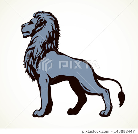 Lion. Vector drawing Lion. Vector drawing 143898447