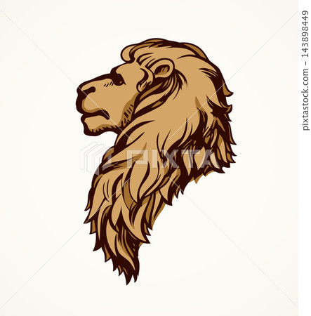 Lion. Vector drawing Lion. Vector drawing 143898449
