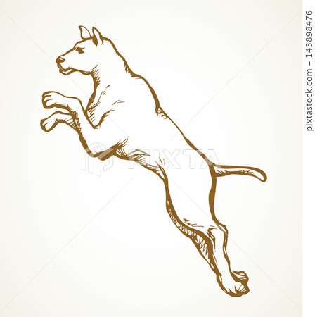 Jumping dog. Vector drawing icon Jumping dog. Vector drawing icon 143898476