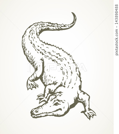 Crocodile. Vector drawing animal icon 143898488