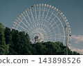 Trees and a Ferris wheel captured in chic tones. 143898526