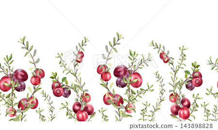 Red wild berries on thin sprigs with small leaves watercolor seamless border isolated. Cranberry plants repeat background for design. Botanical horizontal pattern with ripe fruits for packaging. Red wild berries on thin sprigs with small leaves watercolor seamless border isolated. Cranberry plants repeat background for design. Botanical horizontal pattern with ripe fruits for packaging. 143898828