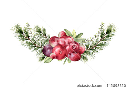 Watercolor pine branches with red berries and green leaves in semicircle isolated. Vibrant bog berry wreath for greeting card, food packaging, and natural design. Cranberry bunch and fir artwork. 143898830