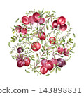 Cranberry branches watercolor round frame design isolated. Natural berry circle element for label, plate design or packaging design. Superfood winter berries in hand drawn round illustration. 143898831