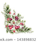 Watercolor cranberry berries and evergreen branches hand painted. Festive botanical corner with pine boughs and red fruits isolated. Christmas holiday decoration. Winter greenery drawing for design. 143898832
