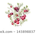 Vibrant cranberry branch with a bunch of berries illustration isolated. Watercolor drawing of fresh ripe berries on bush. Tart food berries hand drawn for packaging or label. Marsh bog berry sketch. 143898837