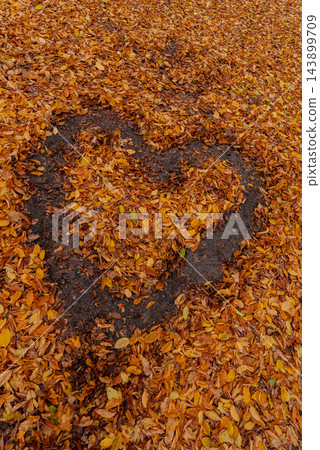 Heart shape carefully arranged from colorful fallen autumn leaves on the ground in peaceful outdoor setting. Rich leaf textures and seasonal colors are highlighted by soft daylight handmade design 143899709