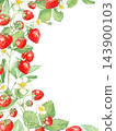Strawberry vertical corner frame border with white flowers, leaves and empty space. Hand drawn watercolor botanical illustration isolated element. Card background design for tea packaging. 143900103