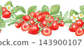 Strawberry seamless horizontal border ribbon with rich foliage, ripe berries and white flowers. Hand drawn watercolor botanical illustration. Repeat edge design for tea packaging clip art. 143900107