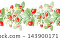 Strawberry seamless horizontal border ribbon with rich foliage, ripe berries and white flowers. Hand drawn watercolor botanical illustration. Repeat edge design for tea packaging clip art 143900171