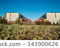 Upscale townhouses with wooden fences and balconies in a suburb 143900626