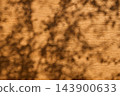 Golden Sunlight and Leaf Shadows on Wooden Board Surface 143900633