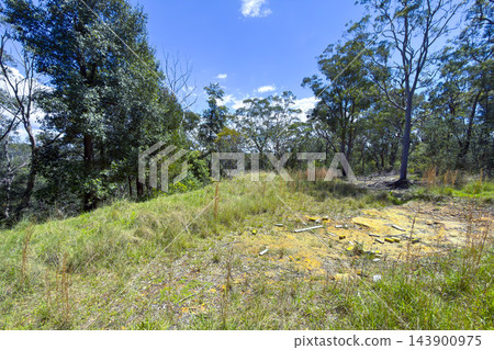Grass and weeds growing on the ridgeline of a gully in the Blue Mountains Grass and weeds growing on the ridgeline of a gully in the Blue Mountains 143900975