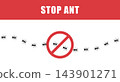 Ant trail. Small ants in row on path or road. Pest control team by inspection and fumigation against contamination. Vector illustration 143901271