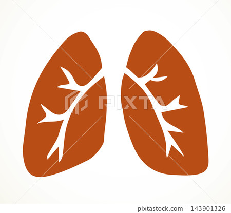 Body organ. Lungs. Vector drawing Body organ. Lungs. Vector drawing 143901326