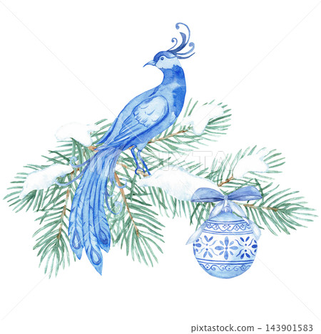 Watercolor chinoiserie Christmas bird of paradise on snowy pine branch with blue and white bauble isolated Watercolor chinoiserie Christmas bird of paradise on snowy pine branch with blue and white bauble isolated 143901583
