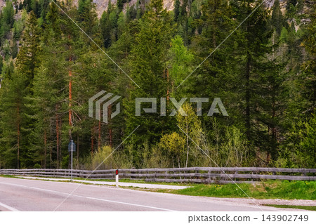 Empty road by spruce forest Empty road by spruce forest 143902749